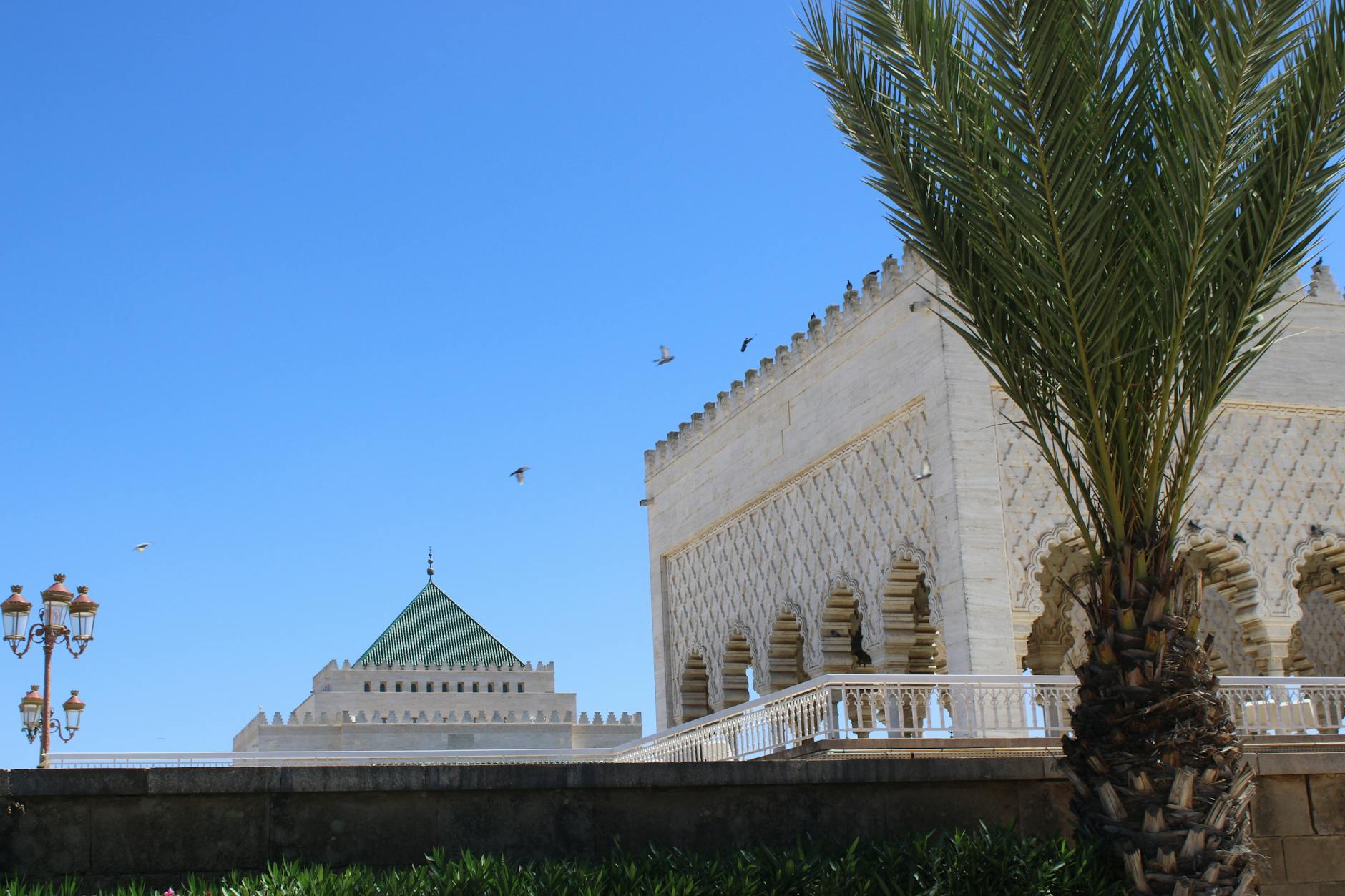 The Mausoleum of Mohammed V in Rabat, Morocco under a clear blue sky with palm tree and birds.